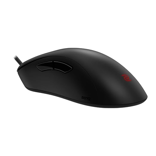 41FPgQlGZeL._SX522_.jpg